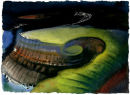 Jurassic Coast Night (2)  